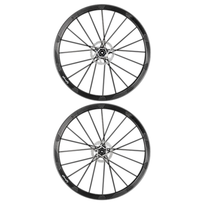 LIGHTWEIGHT WEGWEISER EVO DISC