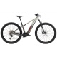 TREK POWERFLY+ 6 2025