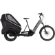 TRIKE HYBRID FAMILY 1500 2024