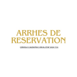 ARRHES DE RESERVATION CERVELO R5 SRAM FORCE eTAP AXS 2024 T.51