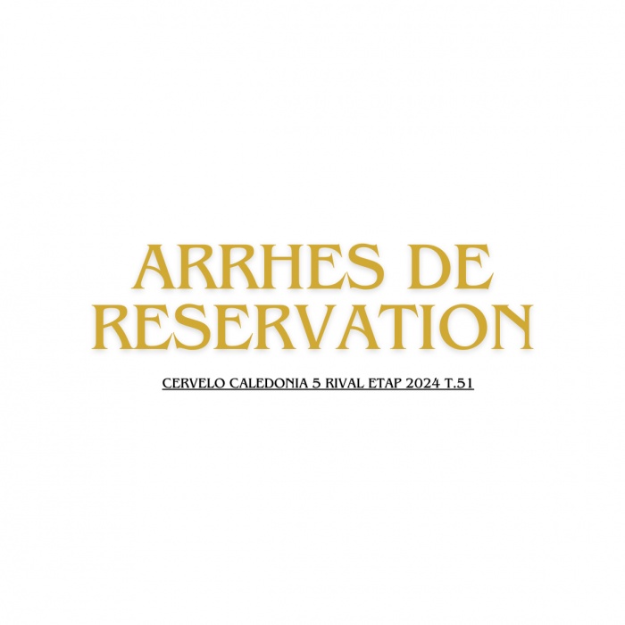 ARRHES DE RESERVATION CUBE STEREO HYBRID 120 PRO 2024 T.M/T.S